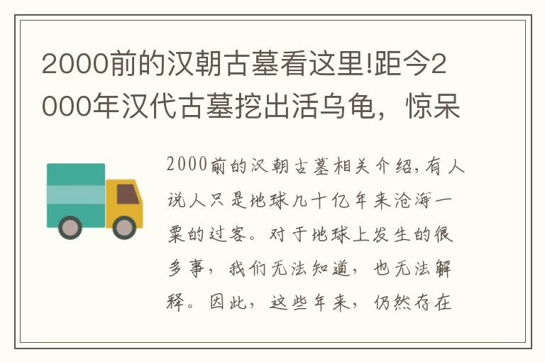 2000前的汉朝古墓看这里!距今2000年汉代古墓挖出活乌龟，惊呆考古队，难道它已活千年