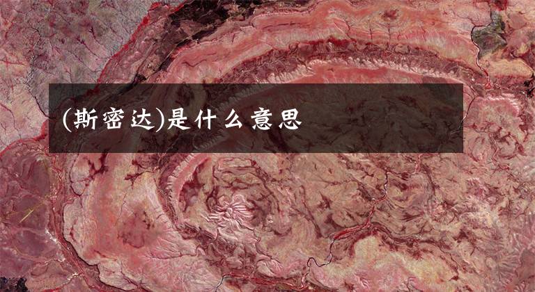 (斯密达)是什么意思