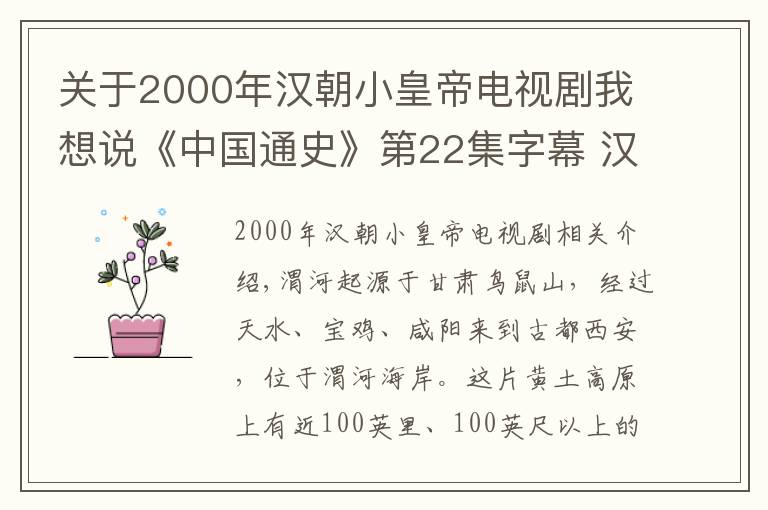 关于2000年汉朝小皇帝电视剧我想说《中国通史》第22集字幕 汉武帝
