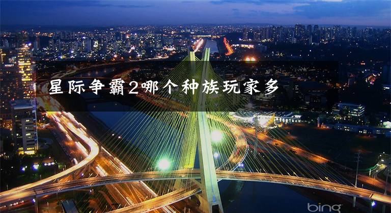 星际争霸2哪个种族玩家多