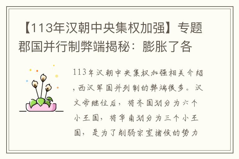 【113年汉朝中央集权加强】专题郡国并行制弊端揭秘：膨胀了各郡王的野心