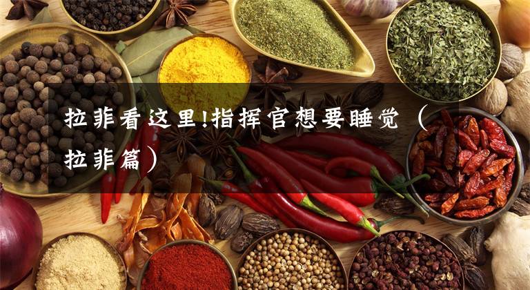 拉菲看这里!指挥官想要睡觉(拉菲篇)