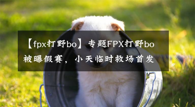 【fpx打野bo】专题FPX打野bo被曝假赛,小天临时救场首发,Uzi复出概率0%