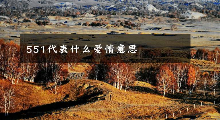 551代表什么爱情意思