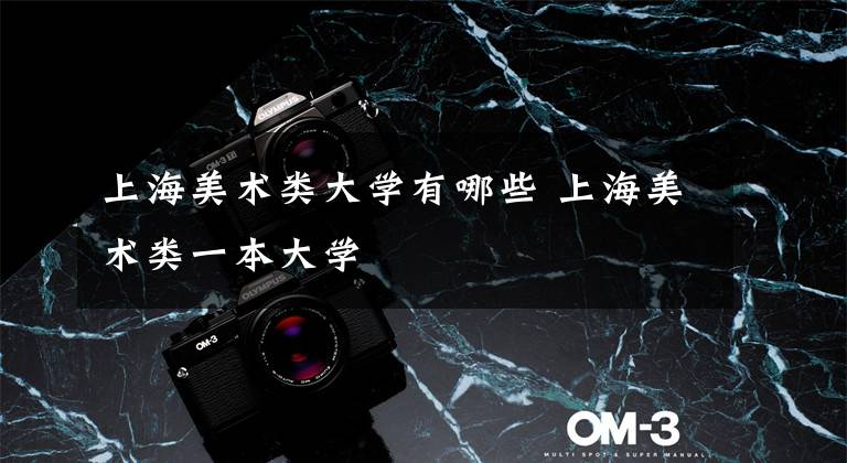 上海美术类大学有哪些 上海美术类一本大学