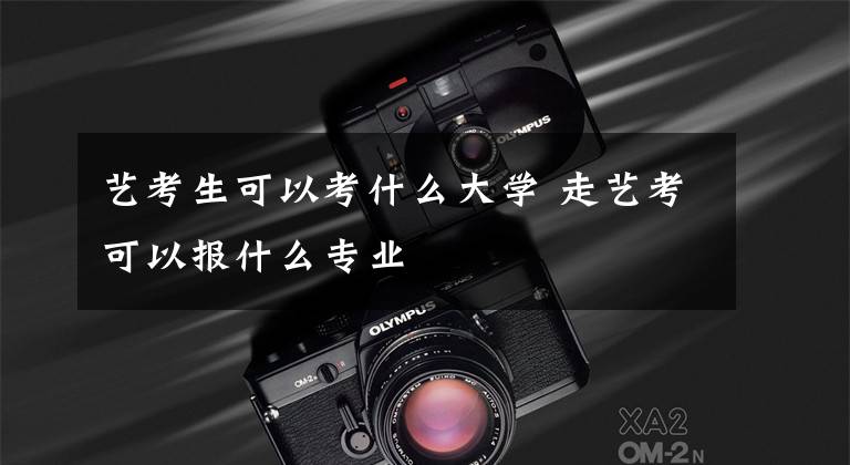 艺考生可以考什么大学 走艺考可以报什么专业