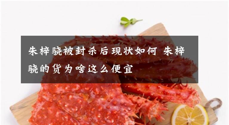 朱梓骁被封杀后现状如何 朱梓骁的货为啥这么便宜