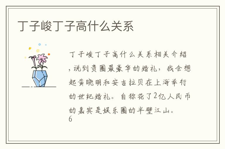 丁子峻丁子高什么关系