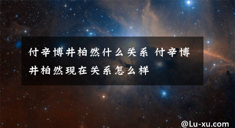 付辛博井柏然什么关系 付辛博井柏然现在关系怎么样