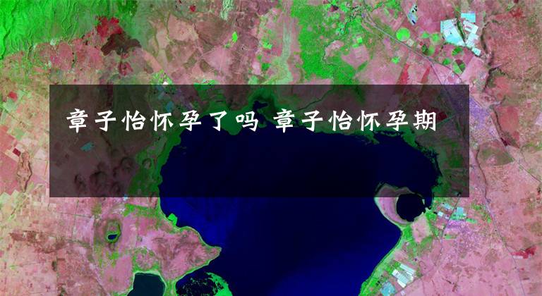 章子怡怀孕了吗 章子怡怀孕期