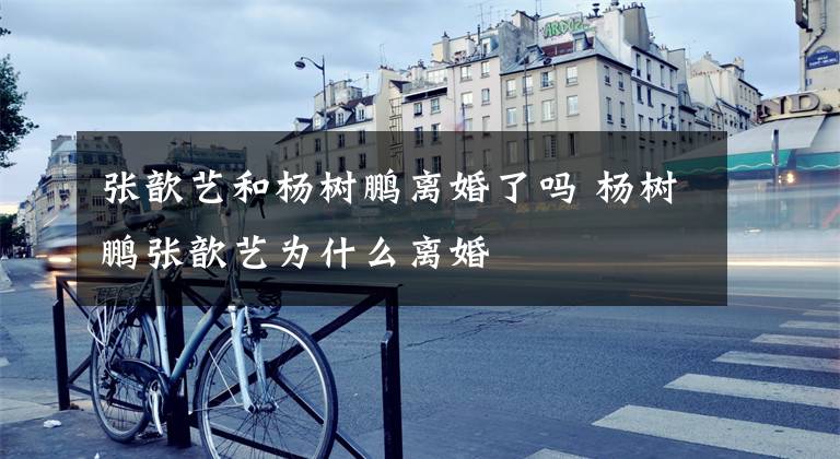 张歆艺和杨树鹏离婚了吗 杨树鹏张歆艺为什么离婚