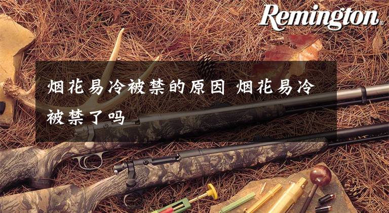 烟花易冷被禁的原因 烟花易冷被禁了吗