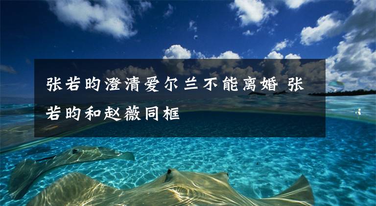 张若昀澄清爱尔兰不能离婚 张若昀和赵薇同框