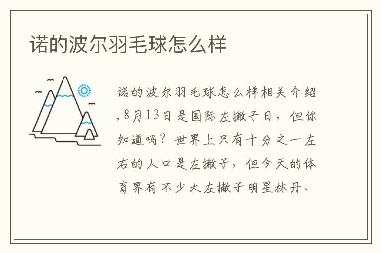 诺的波尔羽毛球怎么样