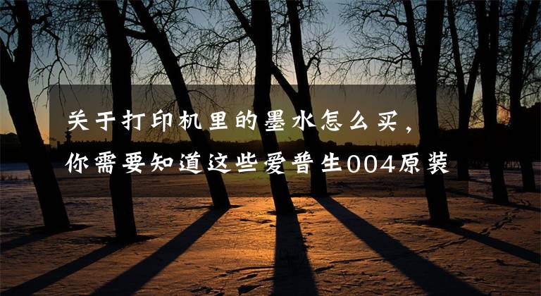关于打印机里的墨水怎么买，你需要知道这些爱普生004原装墨水，爱普生T672原装墨水到货