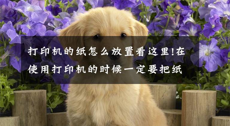 打印机的纸怎么放置看这里!在使用打印机的时候一定要把纸放平整