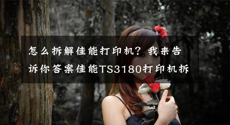 怎么拆解佳能打印机？我来告诉你答案佳能TS3180打印机拆解教程