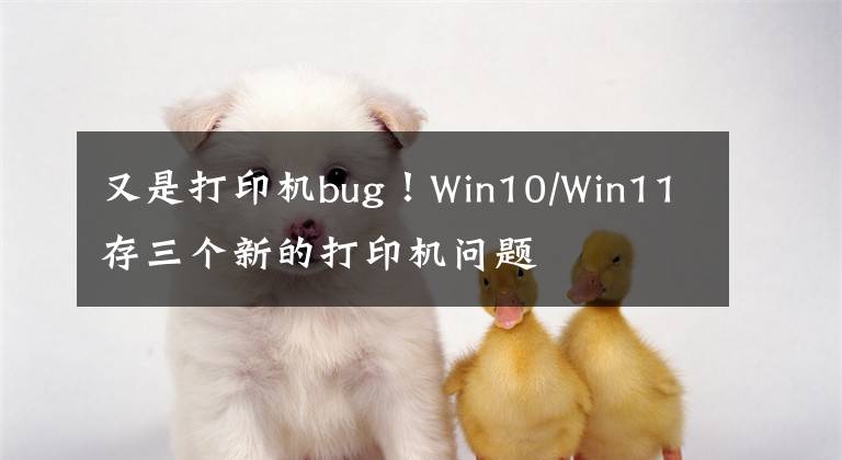 又是打印机bug！Win10/Win11存三个新的打印机问题