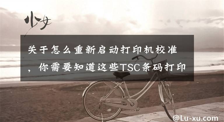 关于怎么重新启动打印机校准,你需要知道这些TSC条码打印机偏移设置怎么办?