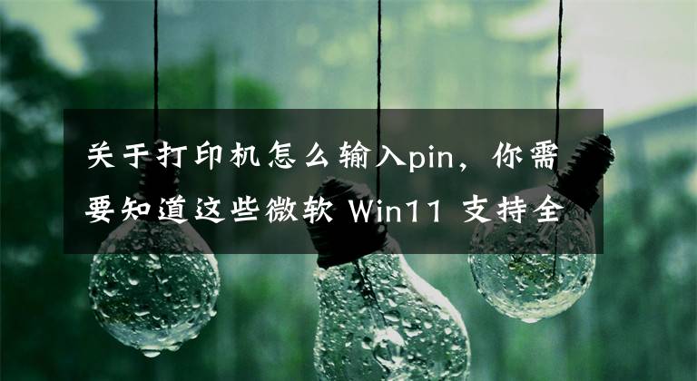 关于打印机怎么输入pin，你需要知道这些微软 Win11 支持全新打印机体验：支持 PIN 码，PSA 应用扩展