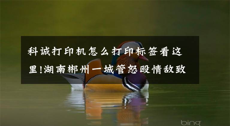 科诚打印机怎么打印标签看这里!湖南郴州一城管怒殴情敌致其轻伤