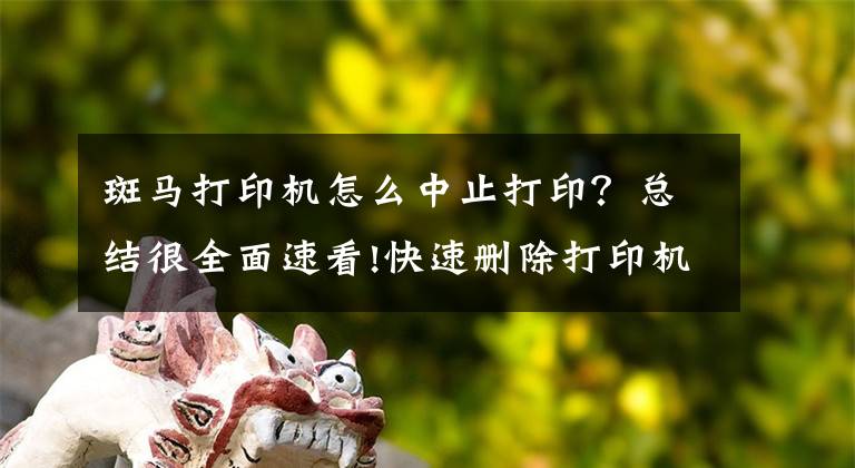 斑马打印机怎么中止打印？总结很全面速看!快速删除打印机打印任务