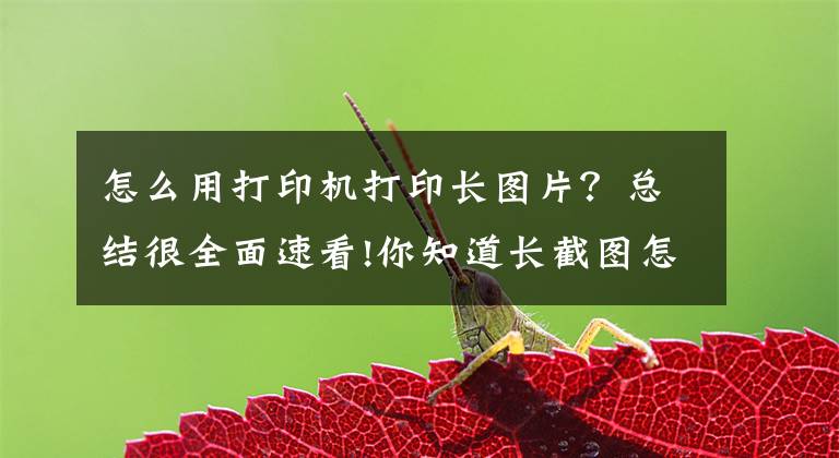 怎么用打印机打印长图片？总结很全面速看!你知道长截图怎么打印出来吗？