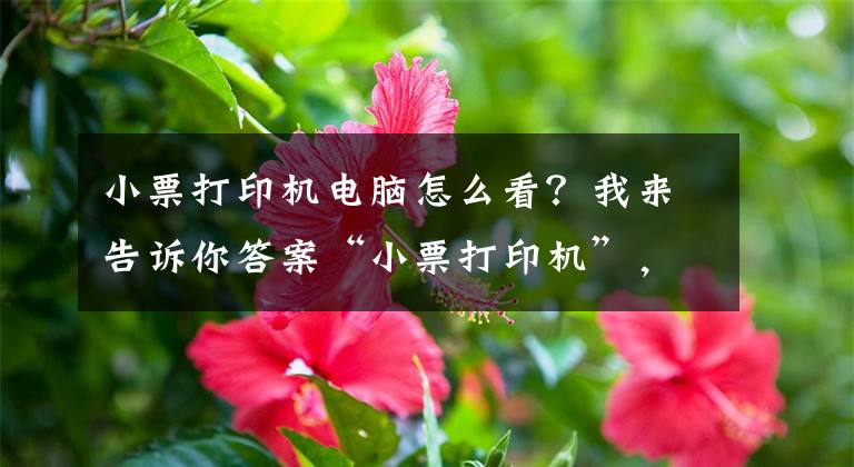 小票打印机电脑怎么看?我来告诉你答案“小票打印机”,TD-4410D