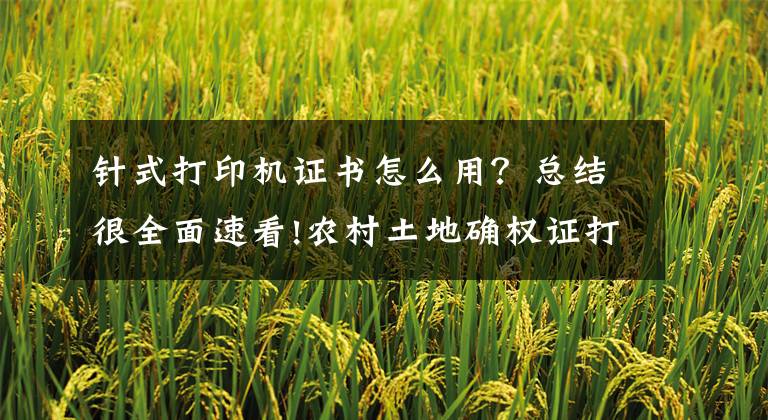 针式打印机证书怎么用?总结很全面速看!农村土地确权证打印神器 实达针式打印机BP-810K