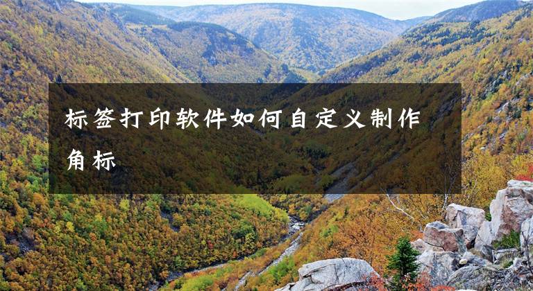 标签打印软件如何自定义制作角标
