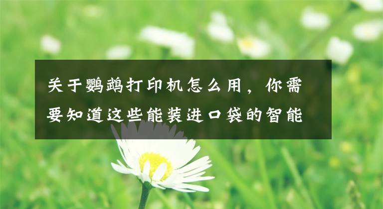关于鹦鹉打印机怎么用，你需要知道这些能装进口袋的智能口袋打印机啵哩 L1，一样打打印不一样的玩法