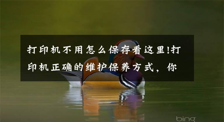 打印机不用怎么保存看这里!打印机正确的维护保养方式，你学会了吗