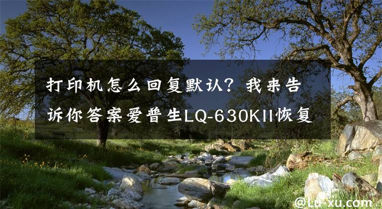 打印机怎么回复默认？我来告诉你答案爱普生LQ-630KII恢复出厂设置方法