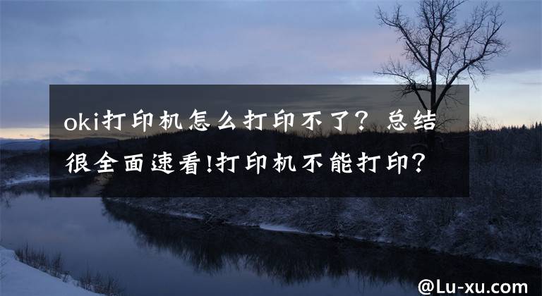 oki打印机怎么打印不了?总结很全面速看!打印机不能打印?别急,答案在这