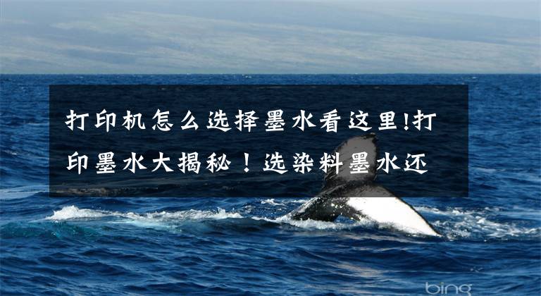 打印机怎么选择墨水看这里!打印墨水大揭秘!选染料墨水还是颜料墨水?