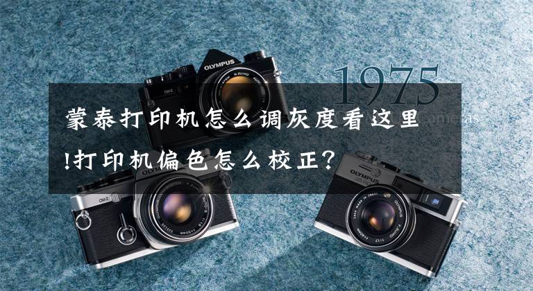 蒙泰打印机怎么调灰度看这里!打印机偏色怎么校正?