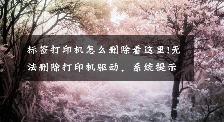 标签打印机怎么删除看这里!无法删除打印机驱动，系统提示“驱动正在使用”，怎么删除？