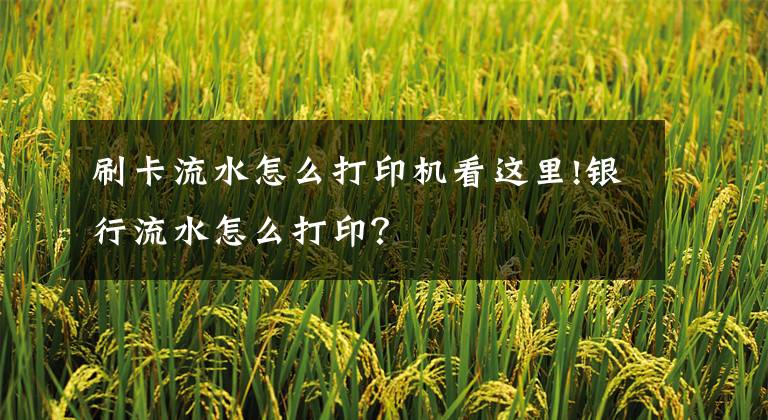 刷卡流水怎么打印机看这里!银行流水怎么打印？