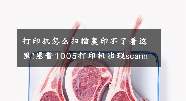打印机怎么扫描复印不了看这里!惠普1005打印机出现scannererror12
