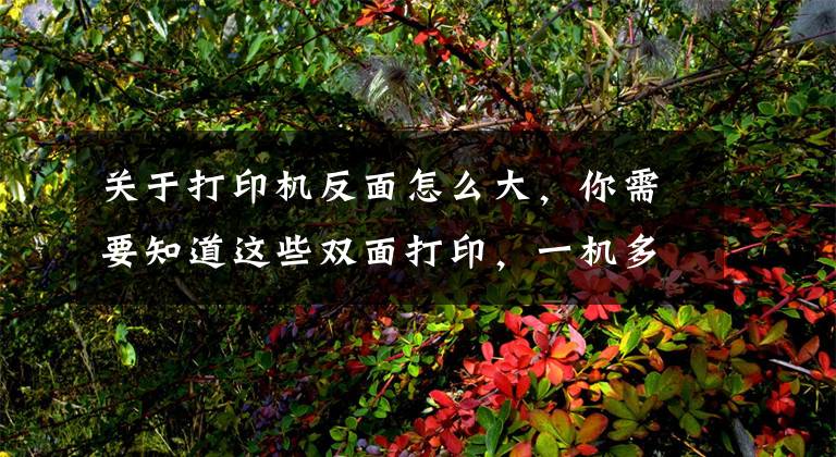关于打印机反面怎么大，你需要知道这些双面打印，一机多能 聊聊我轻松搞定孩子学习和日常打印需求的秘诀