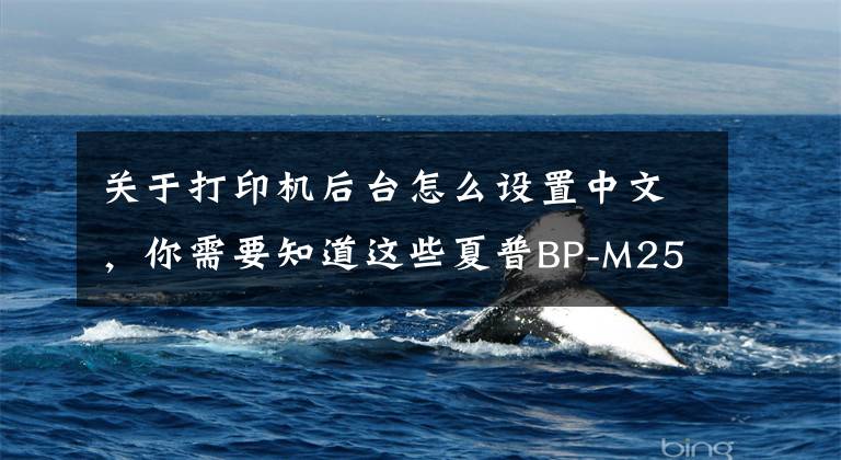 关于打印机后台怎么设置中文，你需要知道这些夏普BP-M2522R复印机网络扫描设置教程