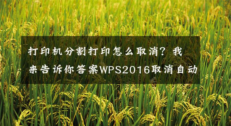打印机分割打印怎么取消?我来告诉你答案WPS2016取消自动生成的页面分隔虚线