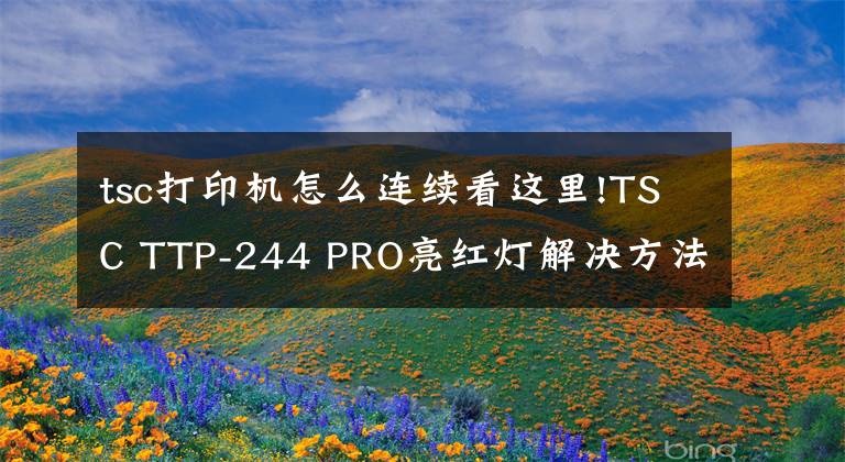 tsc打印机怎么连续看这里!TSC TTP-244 PRO亮红灯解决方法，操作步骤详解