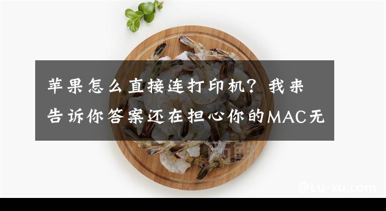 苹果怎么直接连打印机？我来告诉你答案还在担心你的MAC无法连接打印机吗？
