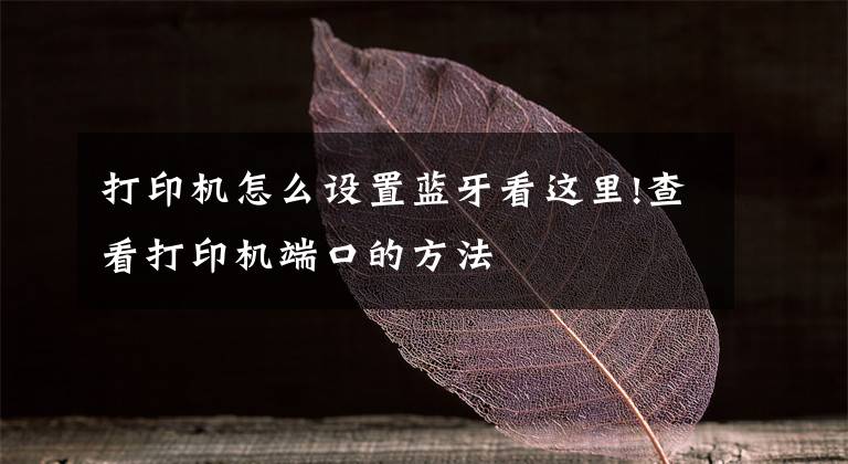 打印机怎么设置蓝牙看这里!查看打印机端口的方法