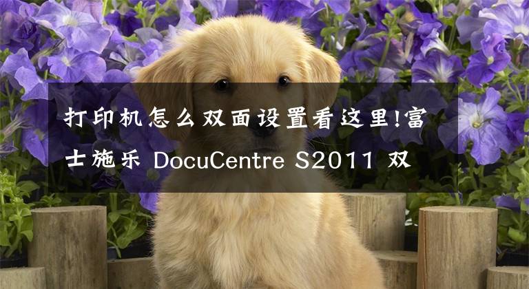 打印机怎么双面设置看这里!富士施乐 DocuCentre S2011 双面打印怎么设置？
