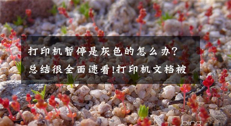 打印机暂停是灰色的怎么办?总结很全面速看!打印机文档被挂起无法打印怎么办,详细解决办法