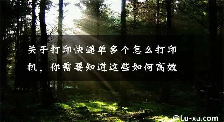 关于打印快递单多个怎么打印机，你需要知道这些如何高效批量制作快递单