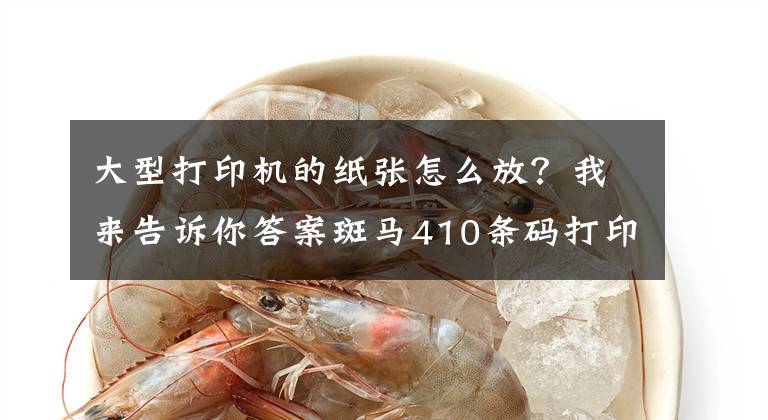 大型打印机的纸张怎么放?我来告诉你答案斑马410条码打印机怎样装纸