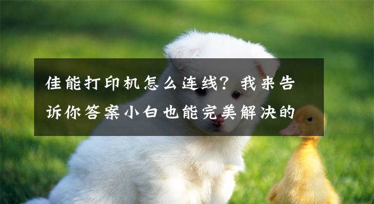 佳能打印机怎么连线？我来告诉你答案小白也能完美解决的打印机连接问题，隔壁老阿姨都学会了呢